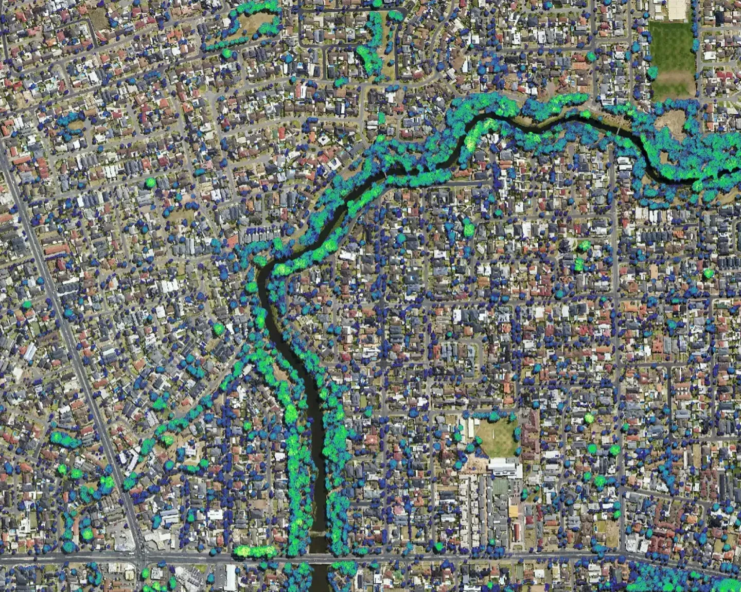 Map of a metropolitan Adelaide neighbourhood with tree canopy shaded by height, taller canopy shown in darker tones over streets and gardens.