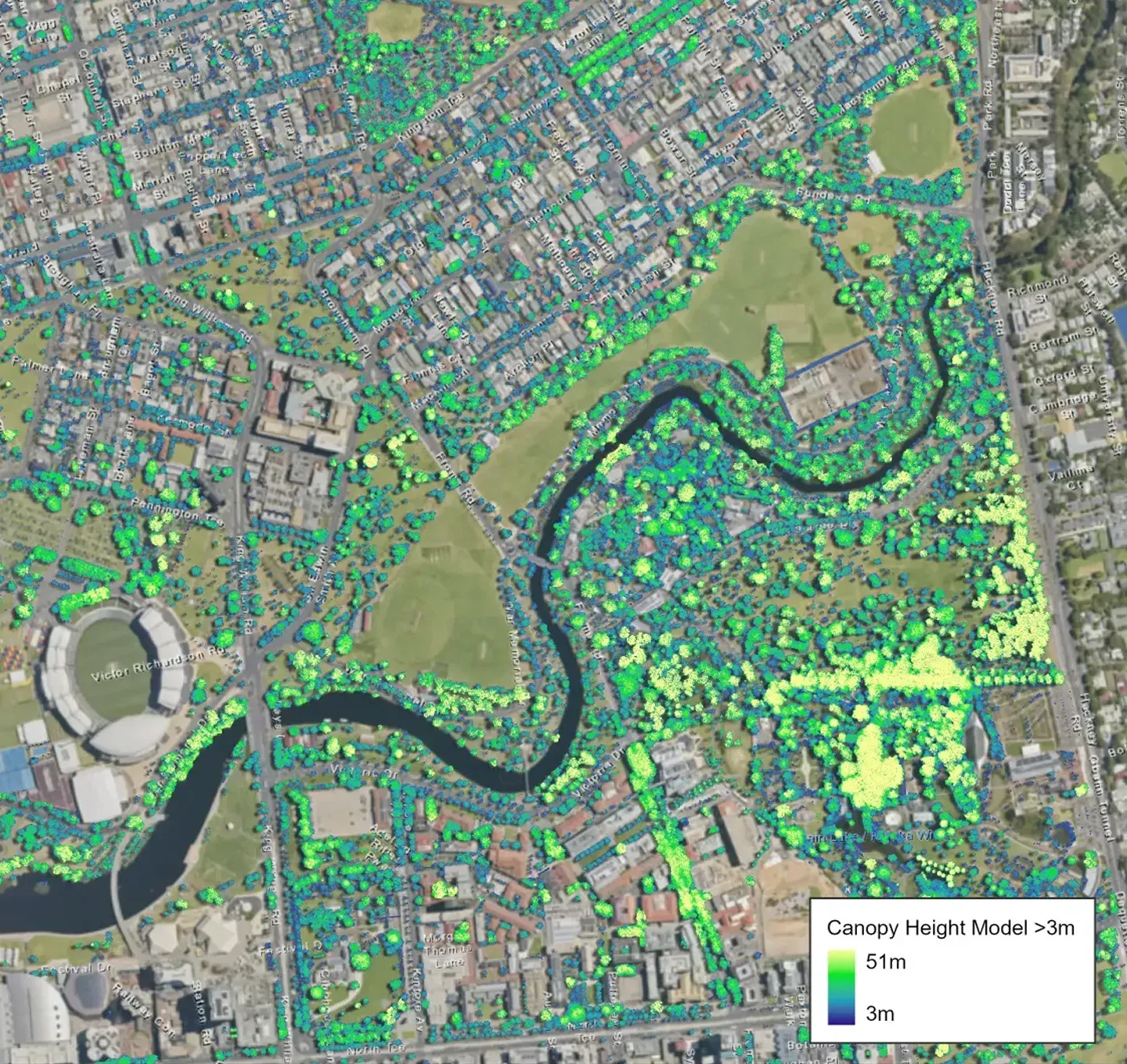 Tree canopy height model covering metropolitan Adelaide, with canopy height rendered as a continuous raster over the street and park network.
