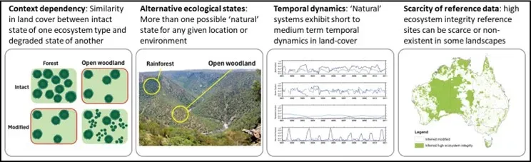 Diagram grouping the four main types of ecological application challenge for satellite remote sensing.
