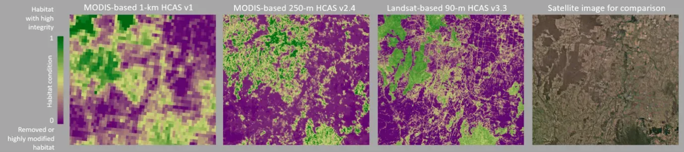 Timeline of successive HCAS versions, from coarser MODIS-based national maps to higher-resolution Landsat-based maps of Australia.
