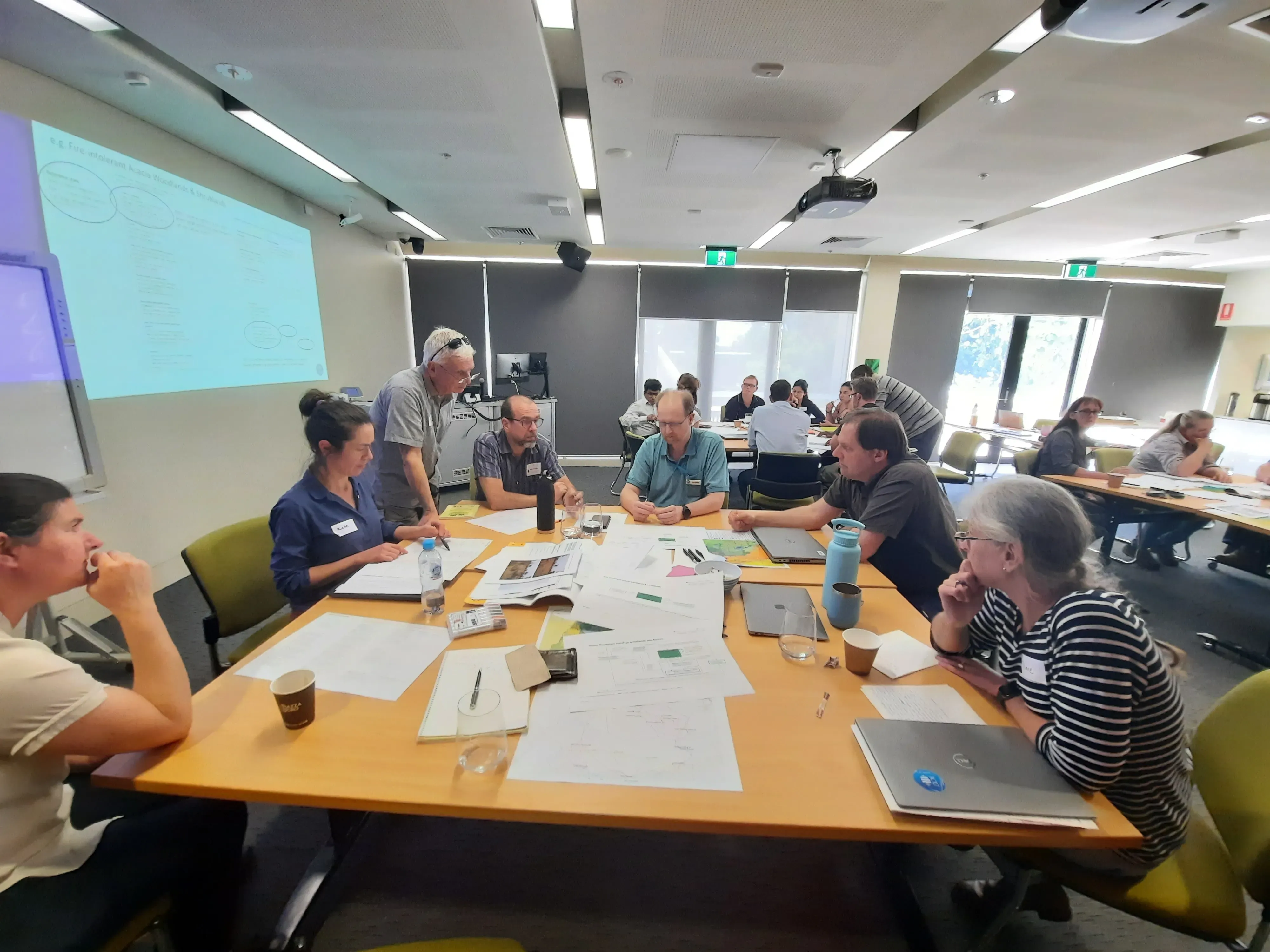 Ecosystem experts seated around tables at a facilitated workshop, working through assessments together.