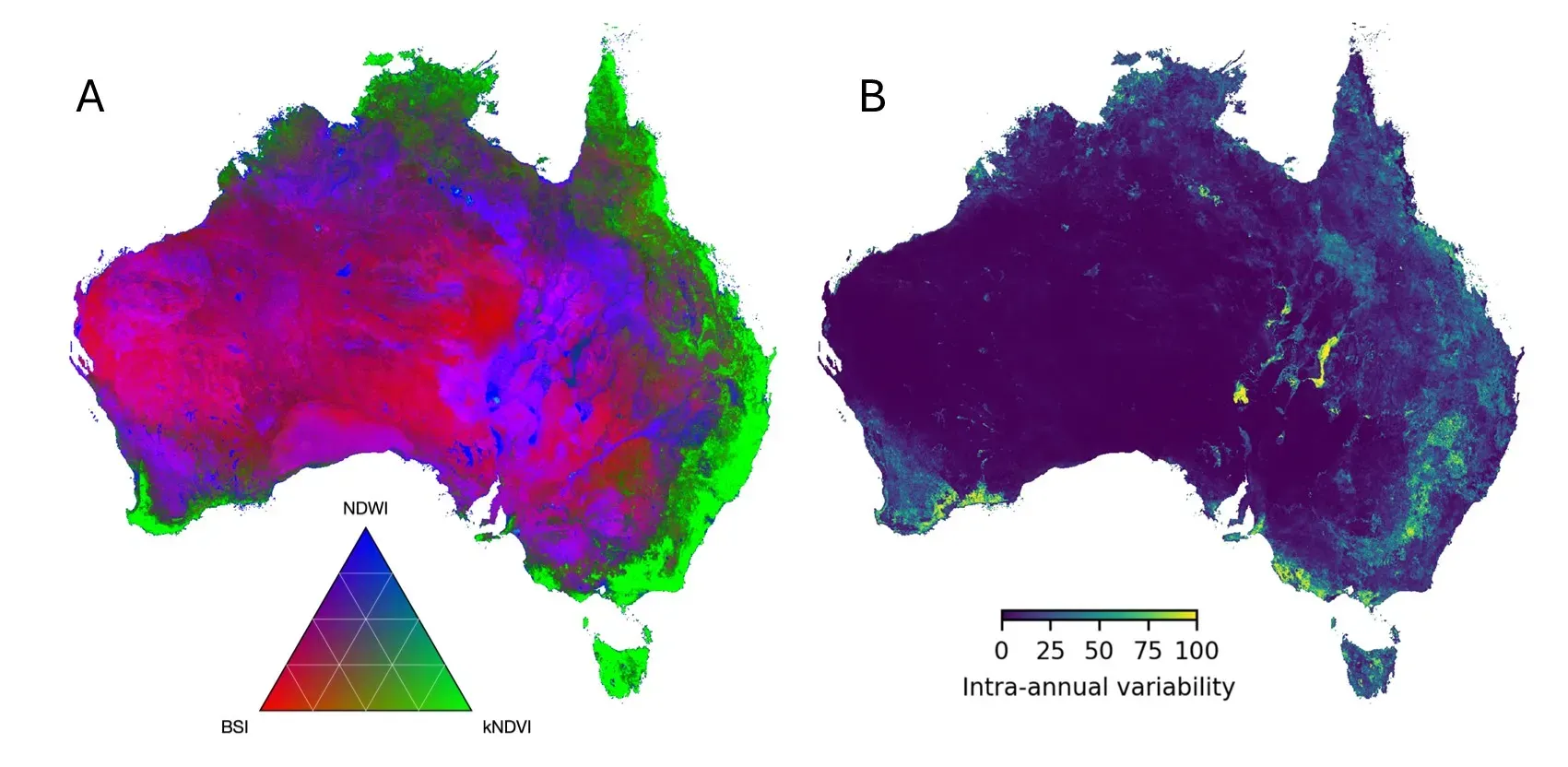 Two maps of Australia: an RGB composite combining aridity, productivity and water gradients, beside a map of intra-annual variability in ecosystem characteristics.