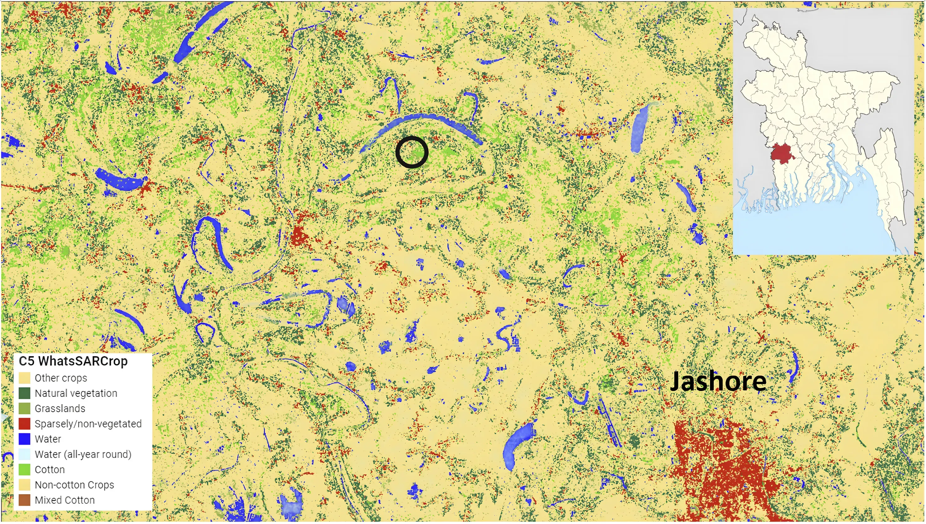 National map of Bangladesh from the 2023 classification, with the districts where cotton and mixed cotton were identified picked out against the other land cover classes.