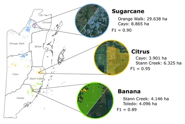 Crop type maps of four districts of Belize.