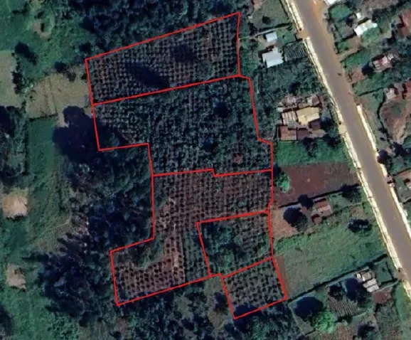 Satellite image with digitised coffee farm boundaries.