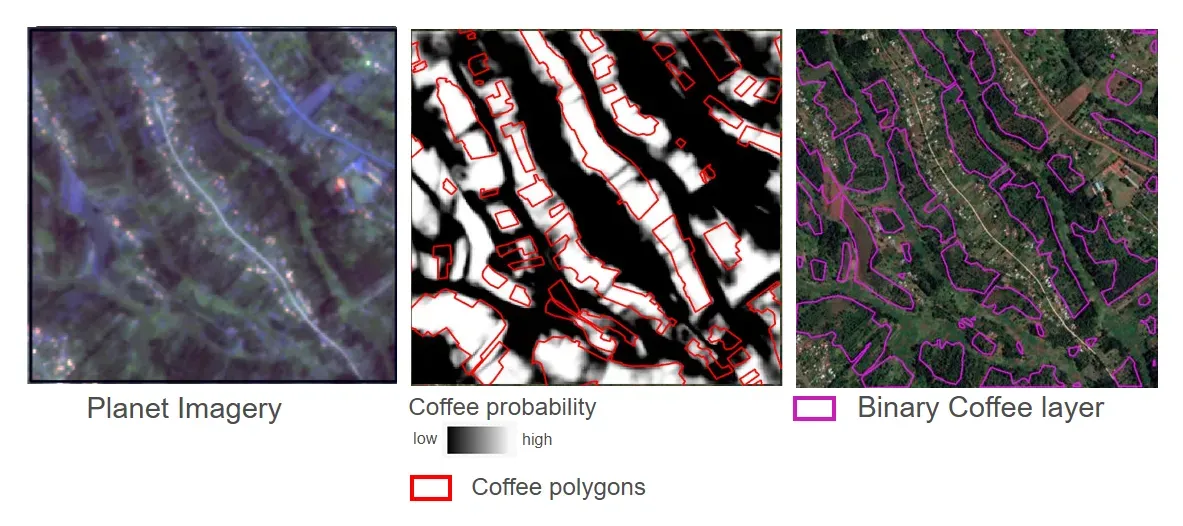 Side-by-side panels comparing satellite imagery with coffee probability maps.