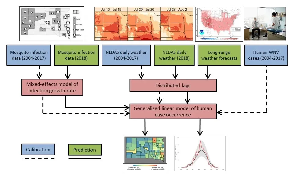 Flow diagram showing surveillance and environmental data feeding the ArboMAP model, split into a calibration path using historical data and a prediction path generating current-season forecasts.