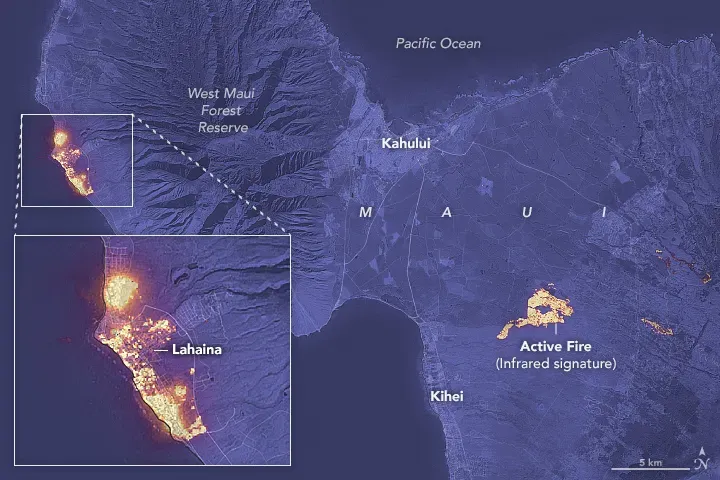 Satellite image of active wildfires, with fire fronts shown in yellow.