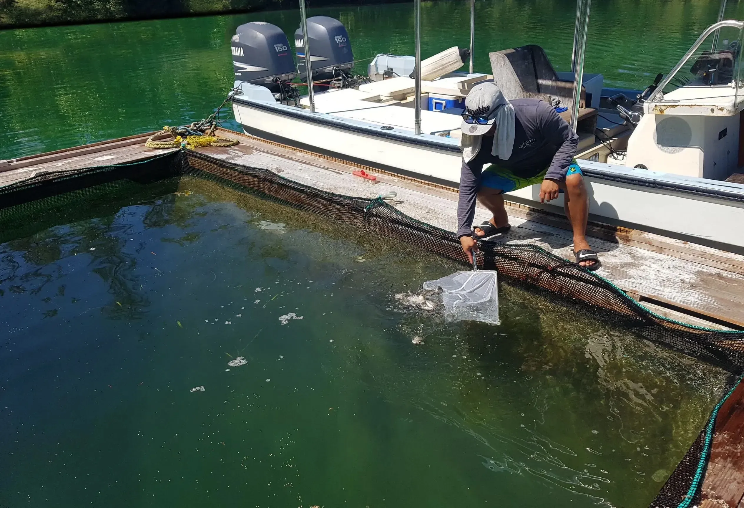 Floating net pens of a rabbit fish farm in shallow coastal water off Palau.