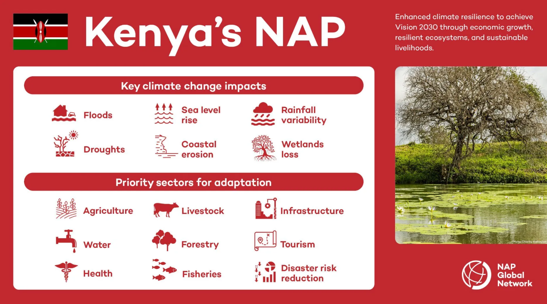 Summary graphic of the main priorities and actions set out in Kenya's National Adaptation Plan.