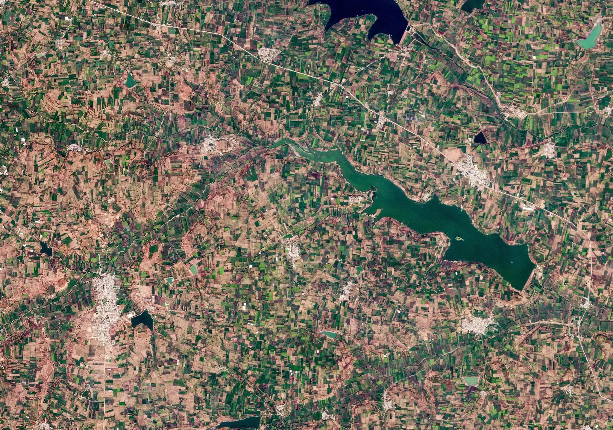 Satellite image of agricultural fields.