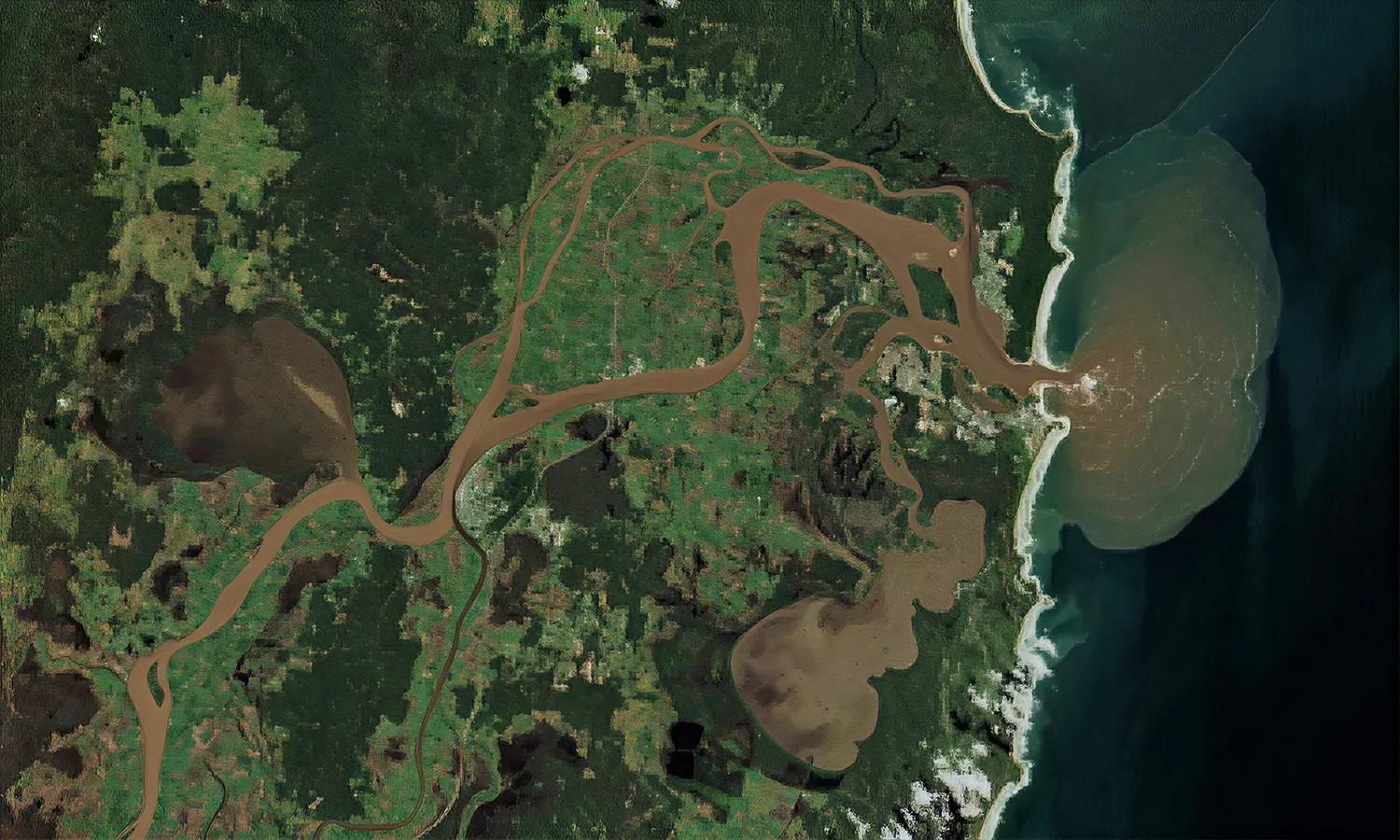 Satellite view of the New South Wales north coast where brown, sediment-laden river plumes fan out from several river mouths into the blue coastal ocean.