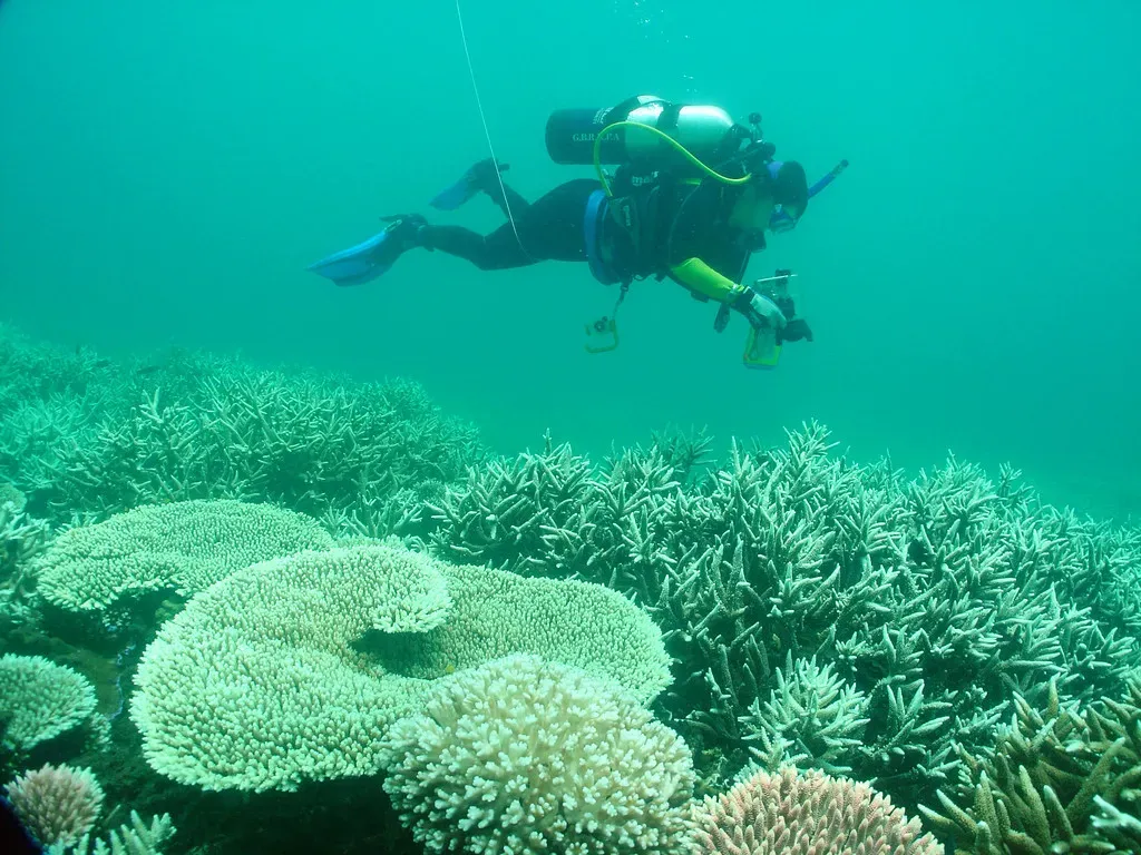 Reef managers on a survey vessel looking out over a stretch of the Great Barrier Reef.
