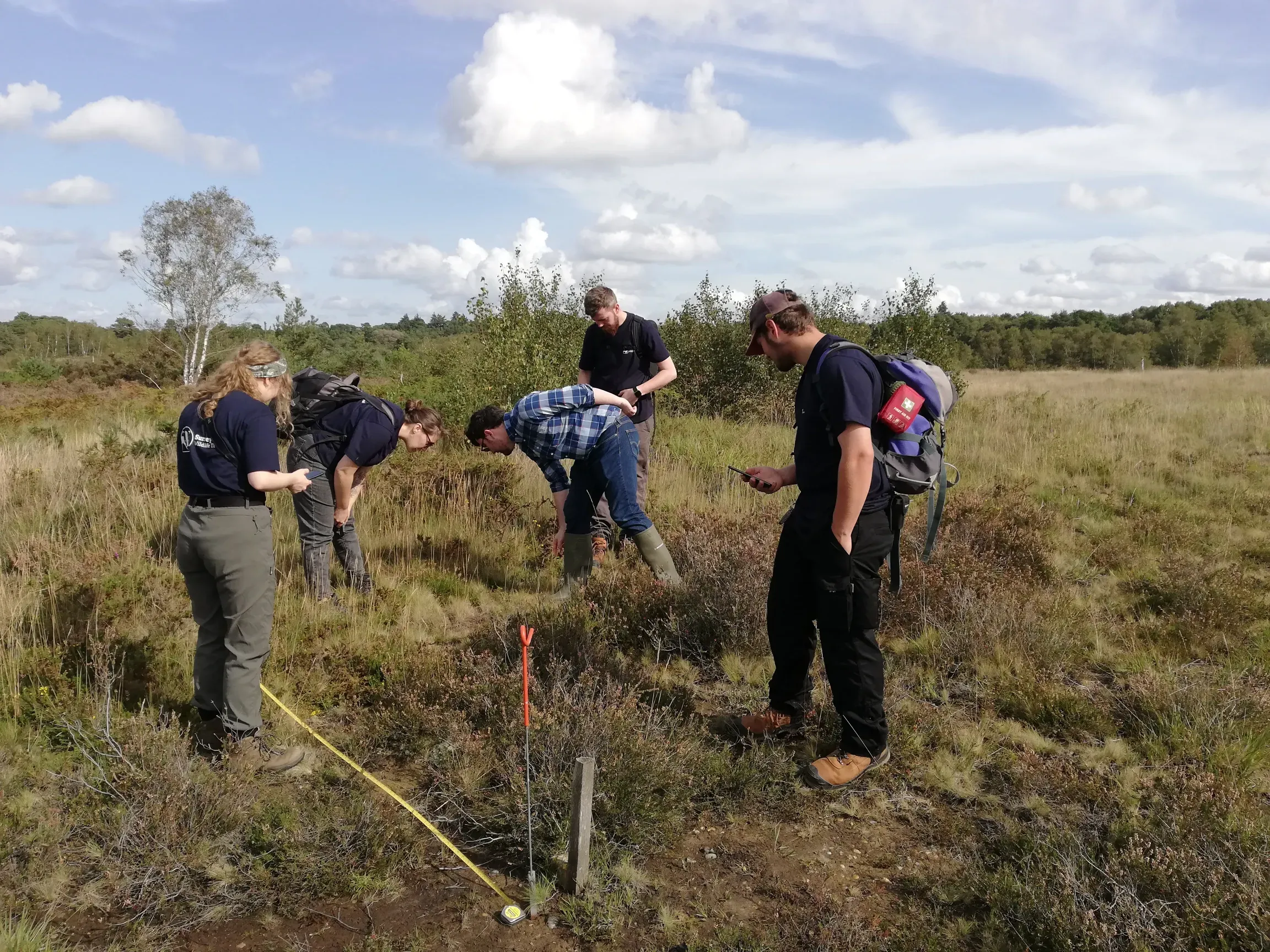 Surrey Wildlife Trust staff and volunteers standing together outdoors in a grassland, looking at a map as they plan where to survey.