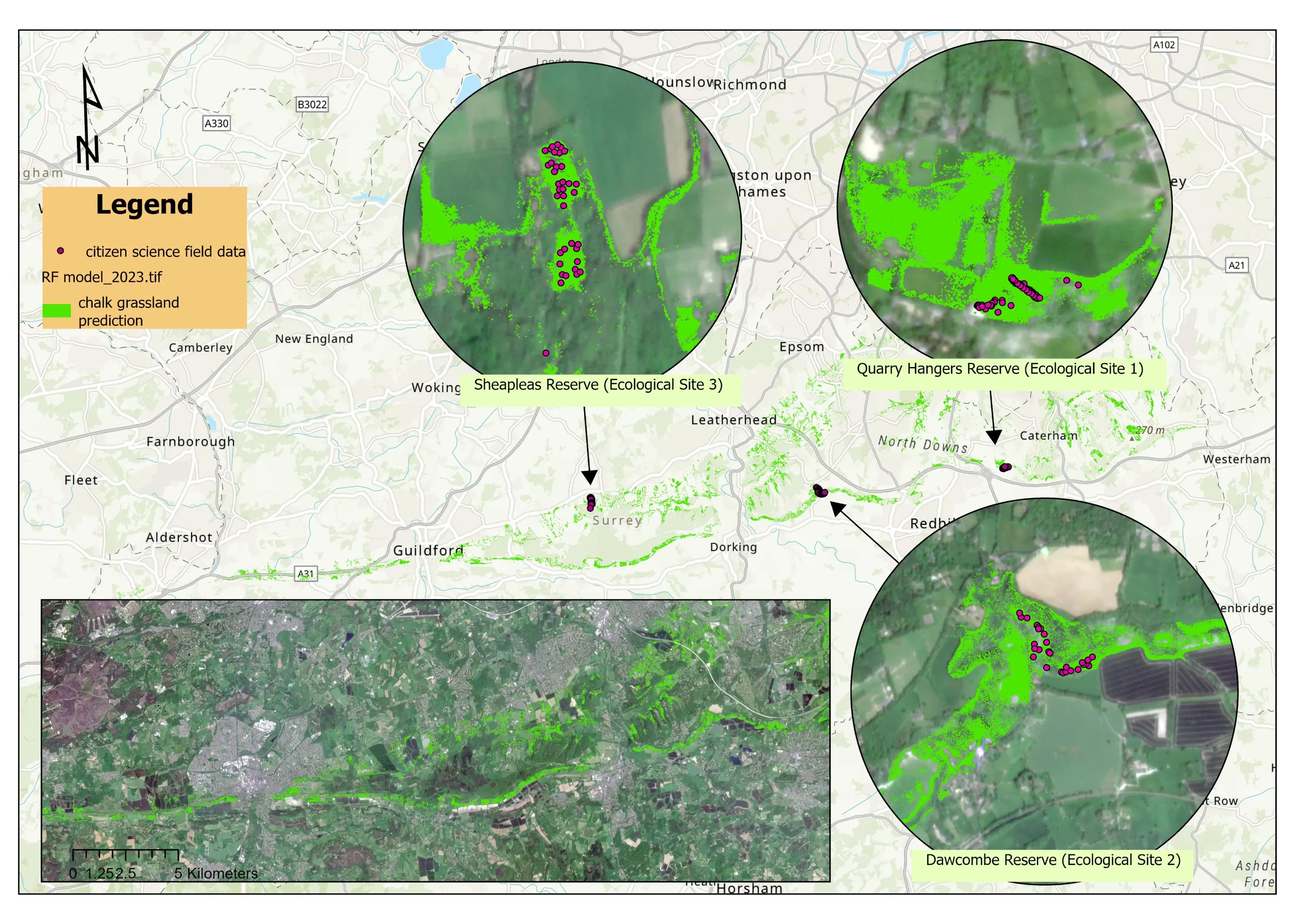 Prediction map of Surrey with chalk grassland picked out as scattered patches, overlaid with points marking citizen-science survey locations.