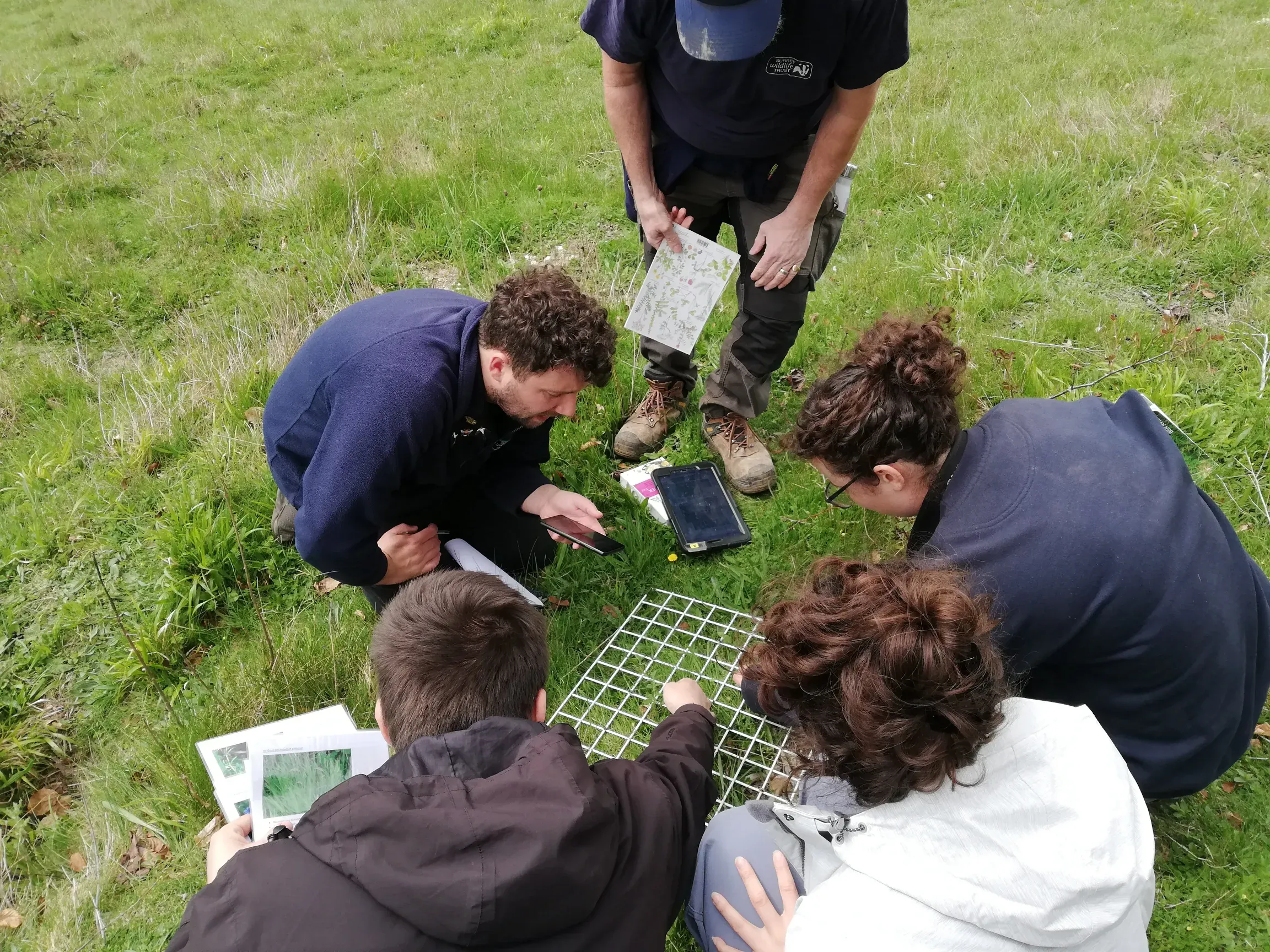 Volunteers kneeling beside a fixed square quadrat in grassland, recording the plants inside it on a mobile device.