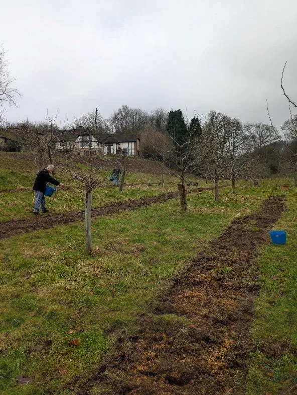 Buglife volunteers at work on a chalk grassland site, clearing scrub and preparing ground as part of habitat creation and restoration.