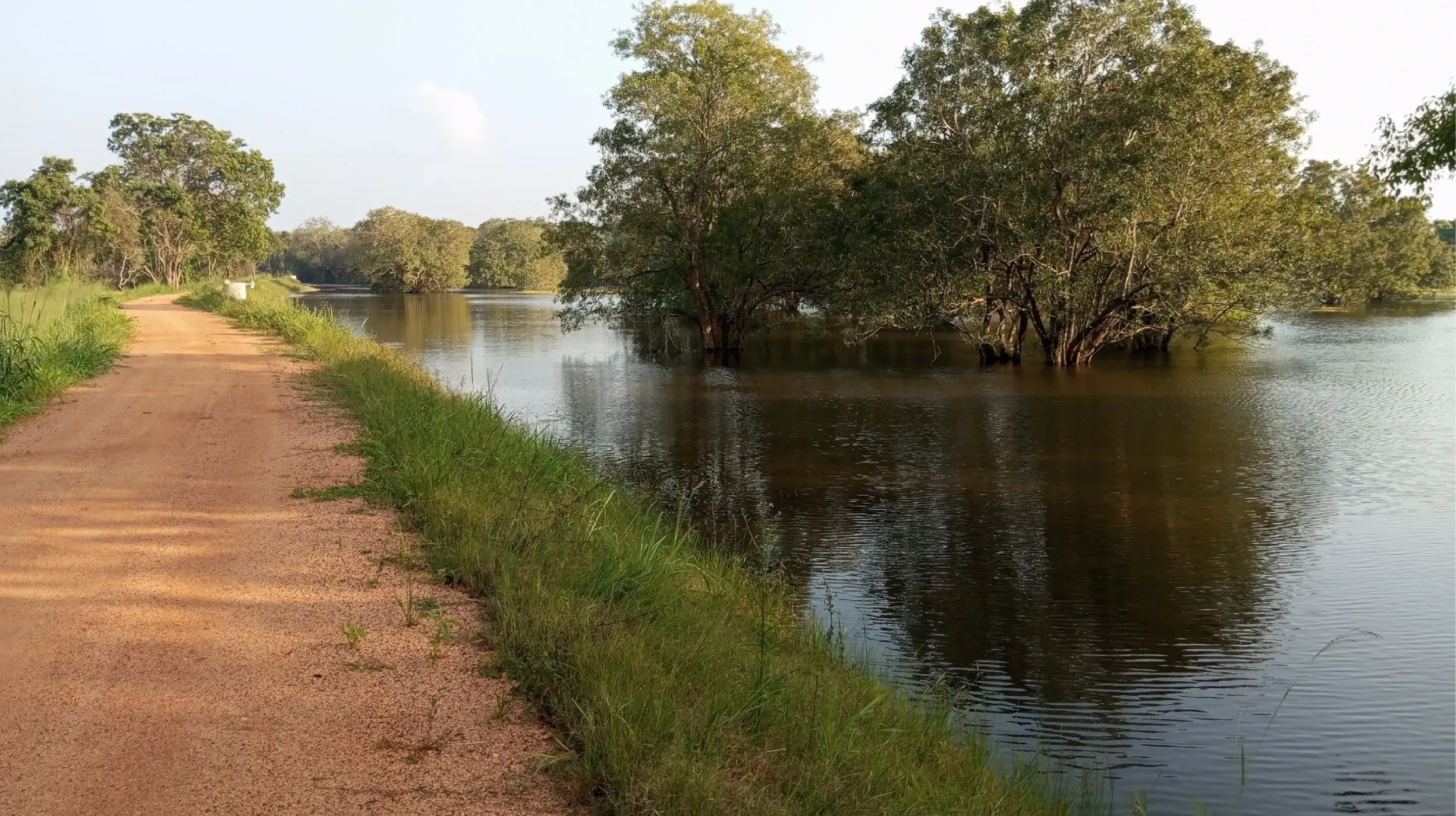 The rehabilitated Galkande Wewa tank in Anuradhapura District, a broad reservoir of open water bordered by its earthen embankment and surrounding vegetation.