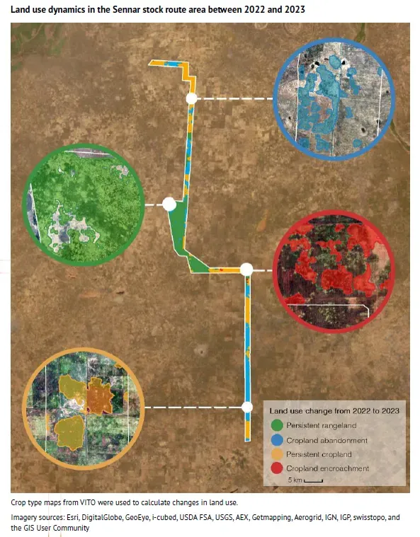 Map comparing land use inside the Sennar stock route and its buffer zones in 2022 and 2023, showing where cropland was abandoned or newly cultivated.